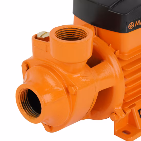 Электрический чугунный насос высокого давления 1/2 л.с., чистый вихревой периферийный центробежный водяной насос, комплект Qb60 для орошения